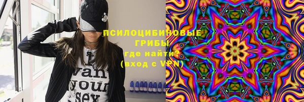 дживик Алексеевка